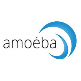 amoeba