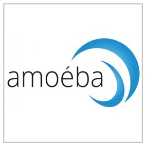 amoeba